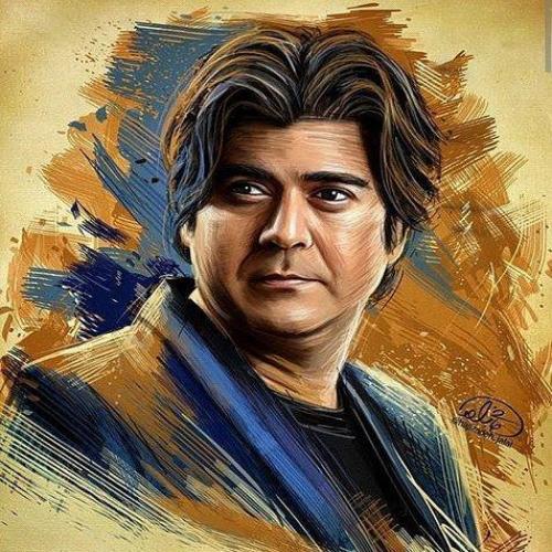 سالار عقیلی - چرخ و فلک